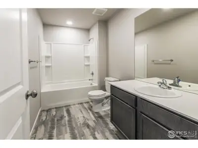 New construction Single-Family house 844 Trumpet Ct, Windsor, CO 80550 plan Rowling - image