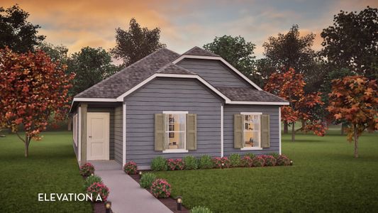 New construction Single-Family house 110 Olympic Park Dr, Kyle, TX 78640 plan Topaz - image