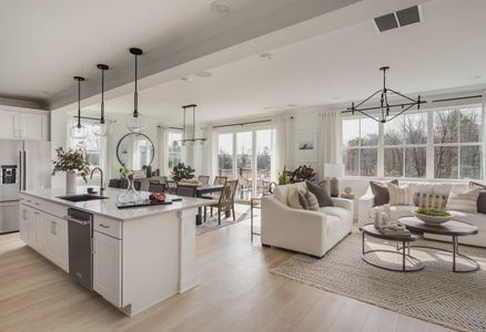 New construction Single-Family house 321 Luna Dr, Tega Cay, SC 29708 plan Concordia Elevation B - image