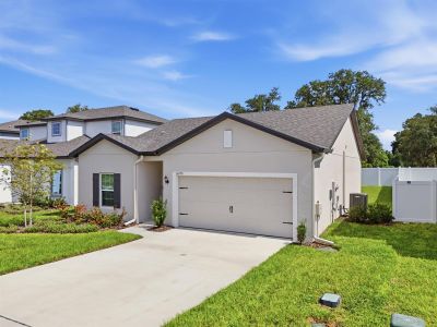 New construction Single-Family house 13470 Leaping Water Wy, Astatula, FL 34705 - image