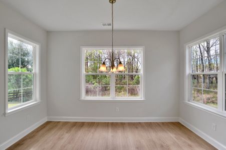 New construction Single-Family house 3802 Grateful Rd, North Charleston, SC 29420 null- photo 13 13