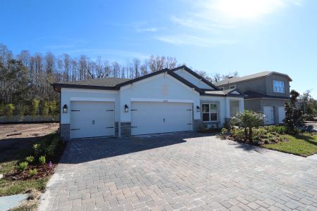 New construction Single-Family house 20339 Oriana Loop, Land O' Lakes, FL 34638 Newport II- photo 114 114