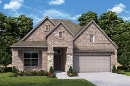 Riceland 50’ Front Load Homesites by David Weekley Homes in Mont Belvieu - photo 9 9