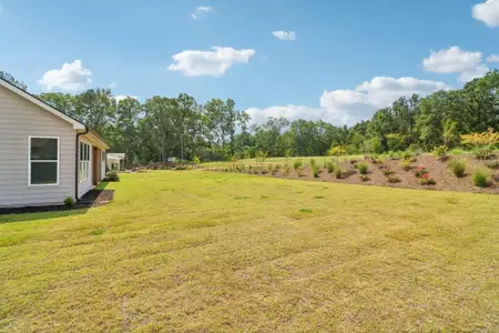 New construction Single-Family house 1297 Pj East Rd, Covington, GA 30014 plan The Blackburn - image