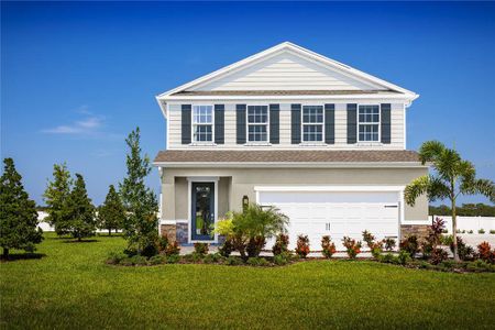 New construction Single-Family house 2437 White Ladyfish Rd, Wimauma, FL 33598 - image
