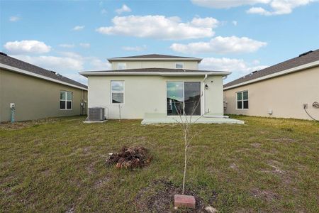 New construction Single-Family house 6973 Wilson Pasture Ave, Groveland, FL 34736 null- photo 28 28