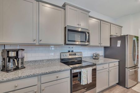 New construction Single-Family house 432 Blue Elderberry, Moncks Corner, SC 29461 null- photo 14 14