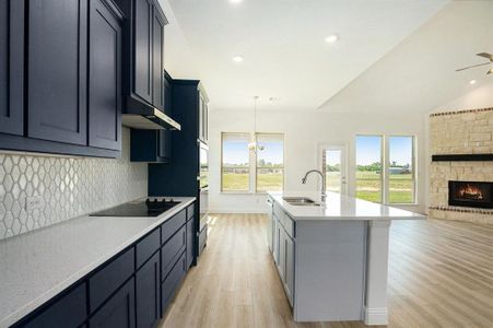 New construction Single-Family house 6033 Mango Dr, Sanger, TX 76266 - image 10