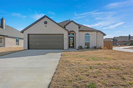 New construction Single-Family house 500 Flora Ct, Josephine, TX 75173 - image