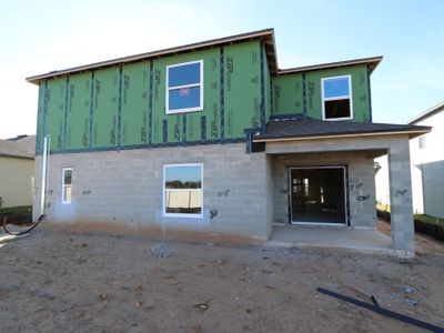 New construction Single-Family house 12294 Hilltop Farms Dr, Dade City, FL 33525 Malibu- photo 45 45