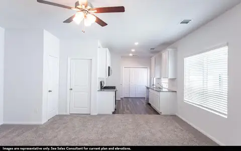 New construction Single-Family house 217 Everglades Dr, Kyle, TX 78640 Topaz- photo 3 3