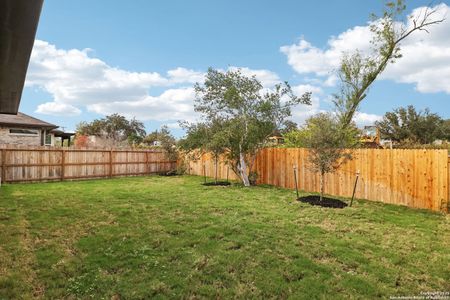 New construction Single-Family house 14713 Rainwater Trl, San Antonio, TX 78253 Cascade (330)- photo 31 31