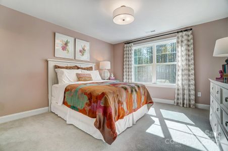 Lancaster Hwy by Caruso Homes in Waxhaw - photo 6 6
