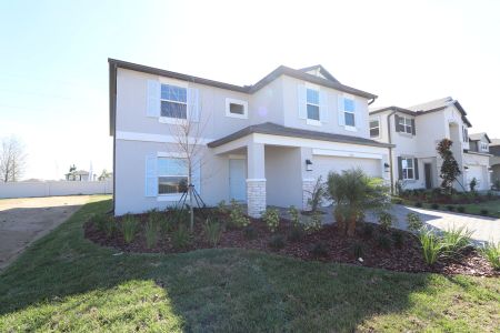 New construction Single-Family house 38350 Tobiano Loop, Dade City, FL 33525 Cabo- photo 167 167