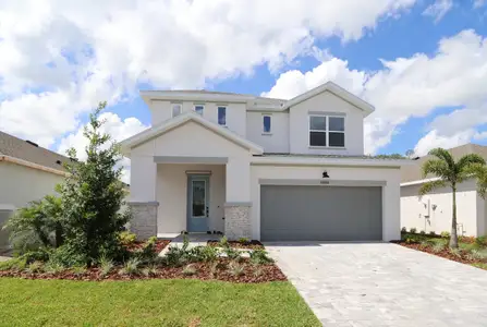 New construction Single-Family house 5353 Wolf Creek Dr, Apollo Beach, FL 33572 plan The Zander - image