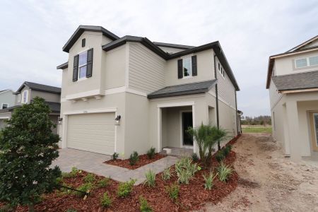 New construction Single-Family house 30988 Pendleton Landing Cir, Wesley Chapel, FL 33545 Cypress- photo 90 90