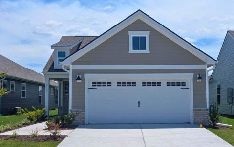 New construction Single-Family house 4173 Yellow Flag Iris St, Leland, NC 28479 plan Compass - image