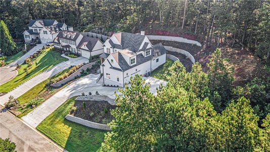 New construction Single-Family house 52 Lake Overlook Dr, White, GA 30184 - image