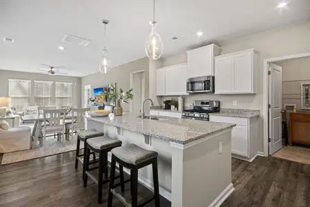 New construction Single-Family house 921 Fire Island Rd, Blythewood, SC 29016 plan Cade - image