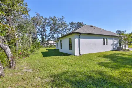 New construction Single-Family house 13148 Oldenburg Dr, Hudson, FL 34667 - image 3