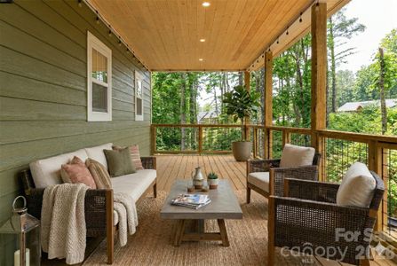 New construction Single-Family house 169 Cascade Ridge Rd, Fairview, NC 28730 - image