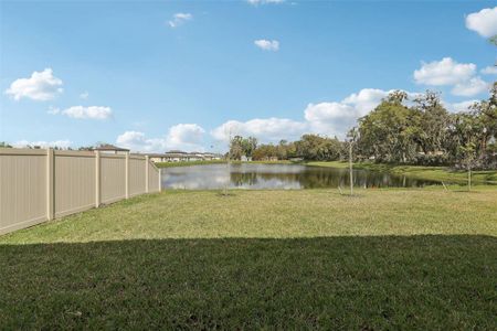 New construction Single-Family house 2318 E Newsome Rd, Plant City, FL 33565 Yellowstone- photo 29 29