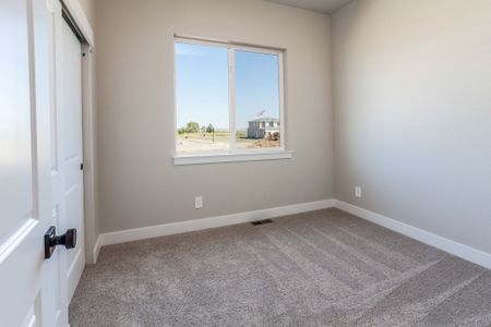New construction Single-Family house 10417 W 12Th St, Greeley, CO 80634 plan The Carlson - image 8