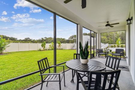 New construction Single-Family house 1724 Rivulet Wy, Zephyrhills, FL 33541 plan Coronado II - image