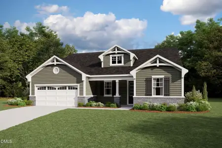 New construction Single-Family house 444 Denali Dr, Angier, NC 27501 - image