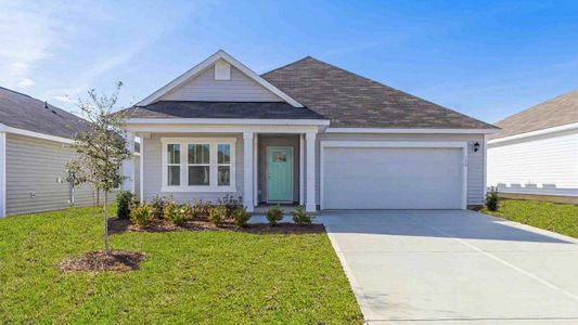 New construction Single-Family house 4332 Coralbead Ln, Leland, NC 28451 plan Aria - image