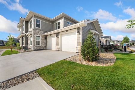 New construction Single-Family house 4160 S Park Dr, Unit 202, Loveland, CO 80538 plan Monarch - image