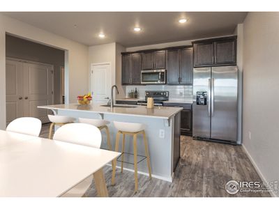 New construction Multi-Family house 1825 Bounty Dr, Unit 4, Windsor, CO 80550 null- photo 3 3