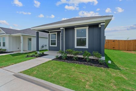 New construction Single-Family house 127 Safflower Dr, Uhland, TX 78640 plan The Daisy - image