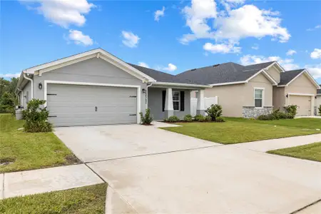 New construction Single-Family house 35542 Bellington Blvd, Zephyrhills, FL 33541 plan Parker - image