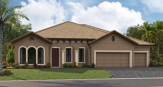 New construction Single-Family house Valrico, FL 33596 null- photo 0