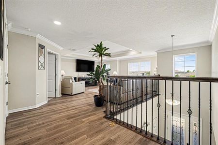 New construction Single-Family house 4902 Eagle Rock Dr, Wimauma, FL 33598 plan Mira Lago - image 16