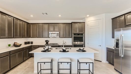 New construction Single-Family house 17491 S Ironwood Bend Dr, Vail, AZ 85641 plan Picacho - image