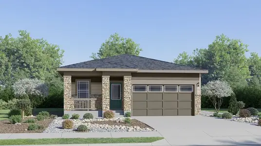 New construction Single-Family house 6121 Bream Pl, Loveland, CO 80538 plan Dolly - image