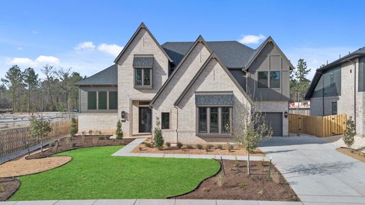 New construction Single-Family house 41696 Wendele Wy, Montgomery, TX 77316 plan Rialto - image