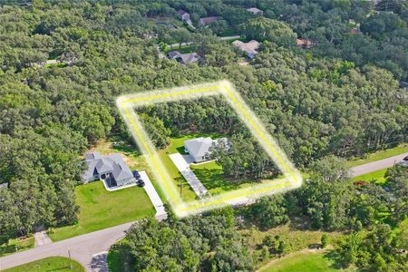 New construction Single-Family house 279 W Pearson St, Hernando, FL 34442 - image 15