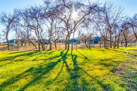 New construction Single-Family house 1000 Hennesay Park, Springtown, TX 76082 null- photo 28 28