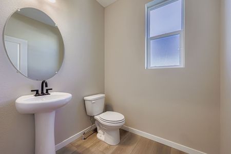 New construction Single-Family house 13755 Daffodil Wy, Parker, CO 80108 plan Conifer - image 11