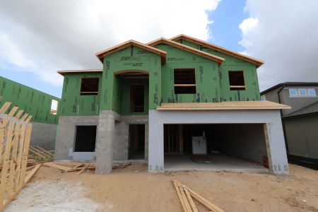 New construction Single-Family house 12134 Hilltop Farms Dr, Dade City, FL 33525 Malibu- photo 13 13