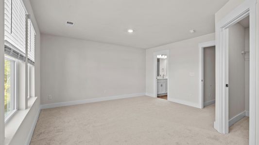 New construction Townhouse house 49 Moon Haven Wy, Arden, NC 28704 plan Litchfield - image 17