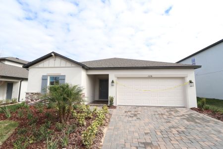 New construction Single-Family house 12188 Hilltop Farms Dr, Dade City, FL 33525 Ventura- photo 113 113