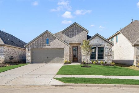 New construction Single-Family house 227 Ivory Brook Cove Drive, Lavon, TX 75166 - photo 0