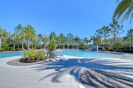 New construction Townhouse house 1291 Colt Creek Pl, Wesley Chapel, FL 33543 null- photo 86 86