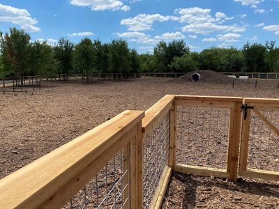 New construction Single-Family house 9801 Petrichor Blvd, Manor, TX 78653 null- photo 9 9