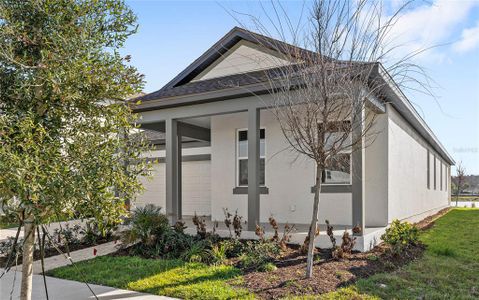 New construction Single-Family house 2525 Broadwing St, Kissimmee, FL 34746 - image