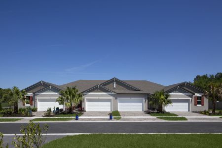 New construction Duplex house 867 Ruddy Quail Pl, Sun City Center, FL 33573 null- photo 0